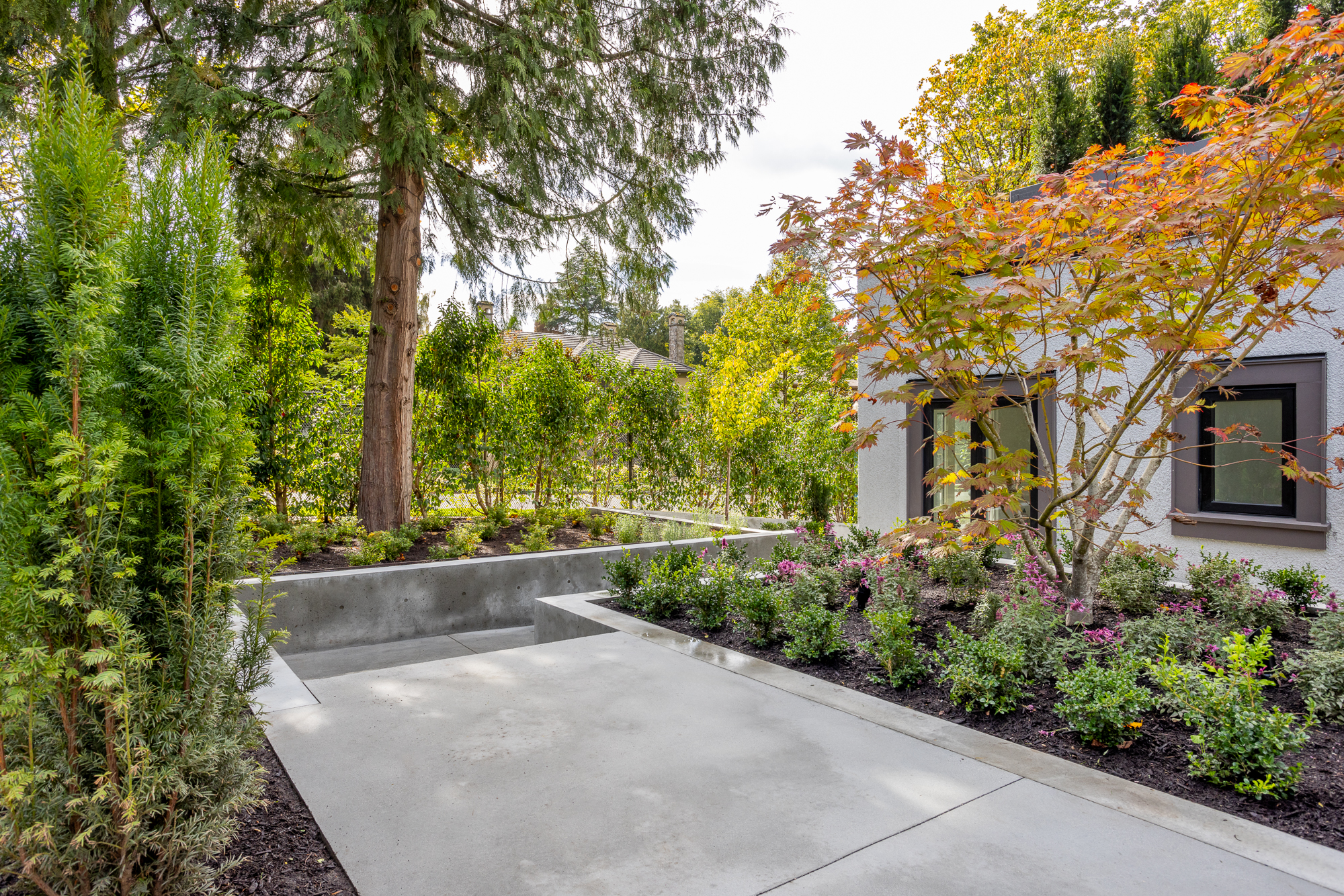 Winterize Your Garden, Trees, and Hedges in the PNW